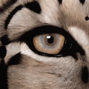 羽月希产后再次复出电影
