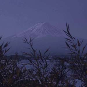 羽月希产后再次复出电影
