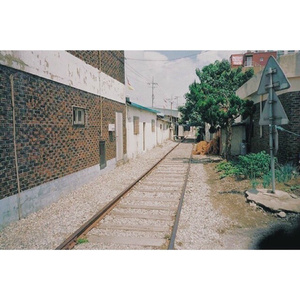 羽月希产后再次复出电影
