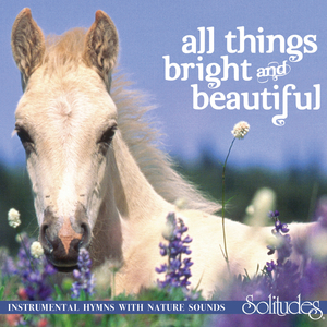 羽月希产后再次复出电影
